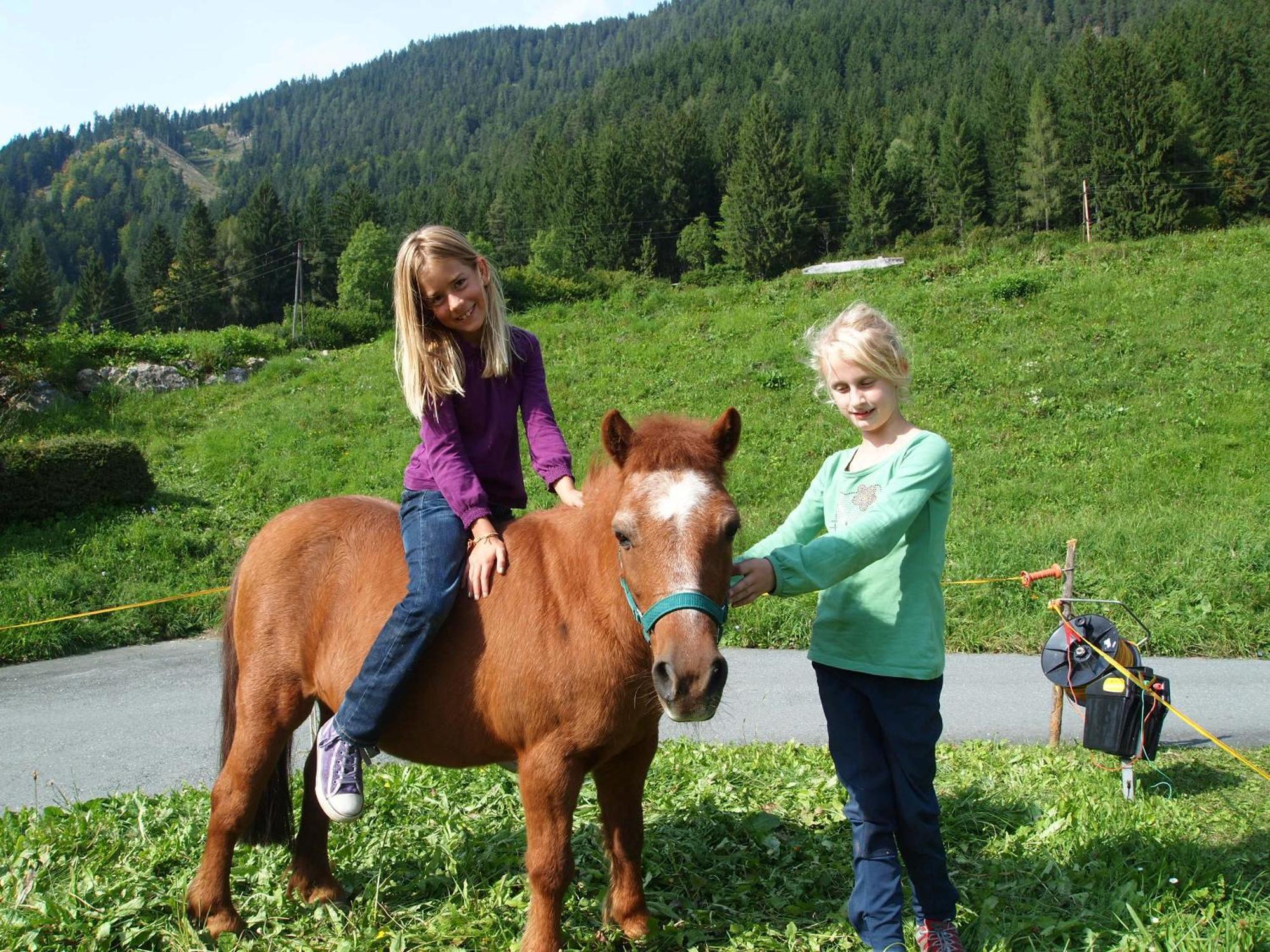 Ferienhof Obergasser Und Bergblick Weissensee Kültér fotó